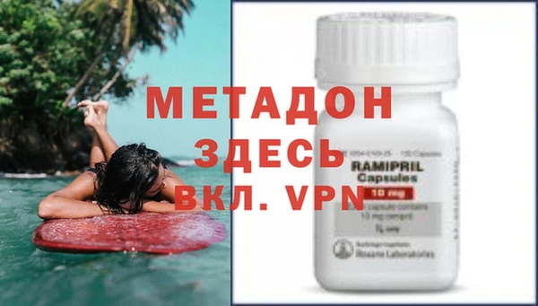прущие грибы Богородск