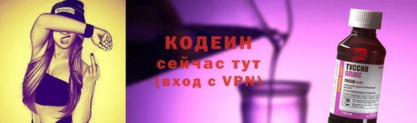 прущий лед Богданович
