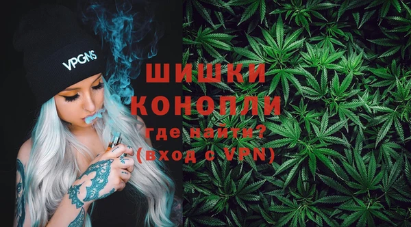 прущие грибы Богородск