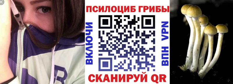 Галлюциногенные грибы Psilocybine cubensis  Купить где  Сортавала 